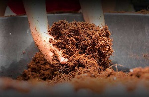 قیمت خاک پرومکس اصل + خرید عمده